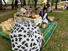 28-2020太陽餅文化節野餐趣剪影