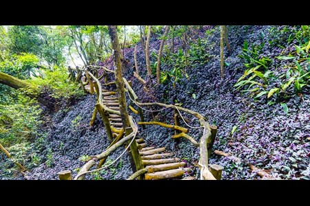 大坑步道風景區