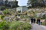 1090214視察新社區二櫃地區簡易自來水工程_200215_0006