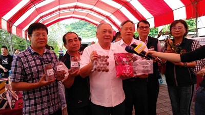 防疫解禁夯農遊!太平荔枝節盛大登場