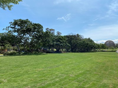 舒適後花園再加一!后里森林公園大草皮優化完工