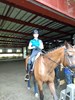 02 2018印尼雅加達亞運馬術國手表演