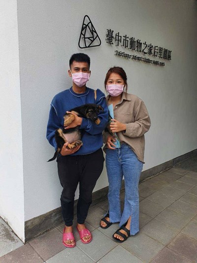 打造動物友善城市 中市動物之家認養率六都第三
