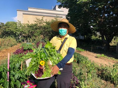 環保農園正式回歸! 明年第1期限額30名熱烈報名中